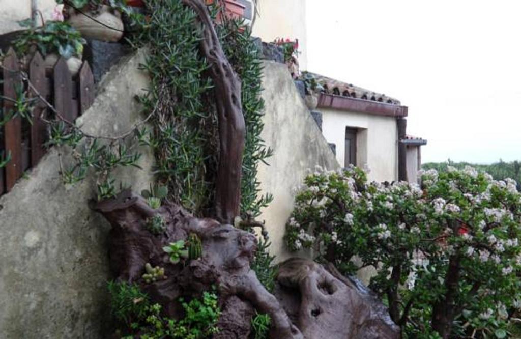 Agriturismo Ruvitello Misterbianco Room photo